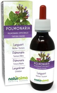 Pulmonaire officinale (Pulmonaria officinalis) herbe avec fleurs Teinture Mère sans alcool