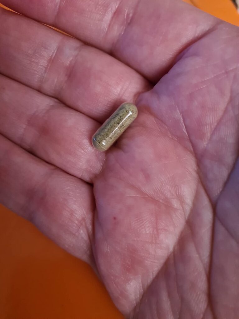 Gélule prise dans une main. La gélule est translucide, laissant apparaître une poudre couleur beige-vert.