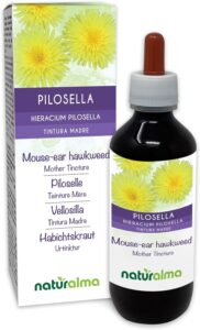 Piloselle (Hieracium pilosella) herbe Teinture Mère sans alcool Naturalma - Extrait liquid