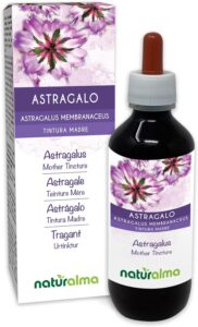 Astragale (Astragalus membranaceus) racines Teinture Mère sans alcool Naturalma - Liquide