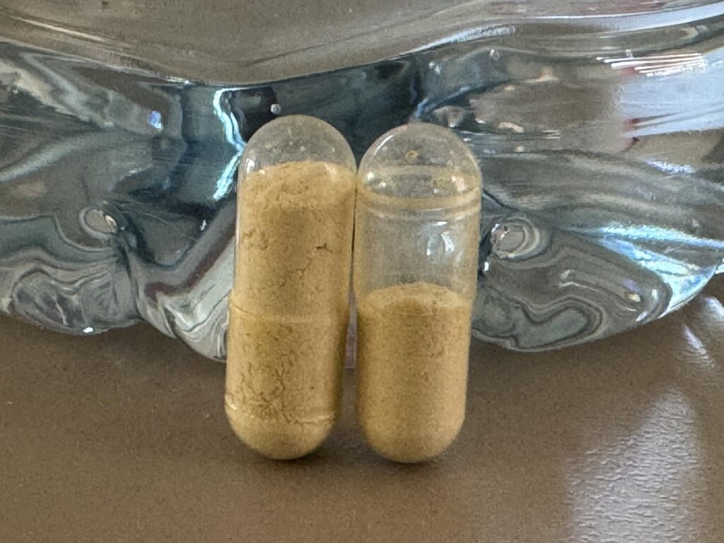 Gros plan sur deux gélules transparentes remplies d'une poudre ocre, posées sur une surface brillante.
