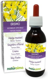 Sisymbre officinal ou Herbe aux chantres (Sisymbrium officinale) sommités fleuries Teintur