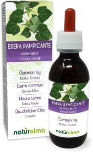 Lierre commun ou Lierre grimpant (Hedera helix) feuilles Teinture Mère sans alcool Natural
