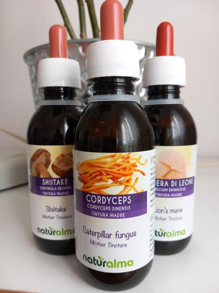 Trois flacons de teinture mère sur fond neutre. Au premier plan, les flacons de Cordyceps et de Shiitake, et un troisième fla...