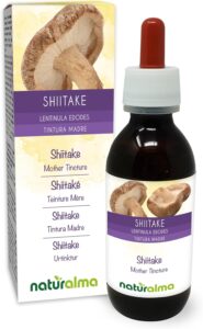 Shiitaké ou Lentin du chêne (Lentinula edodes) champignon Teinture Mère sans alcool Natura