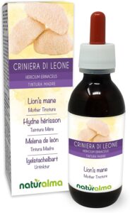 Hydne hérisson ou Crinière de lion (Hericium erinaceus) champignon Teinture Mère sans alco