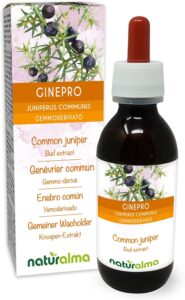 Genévrier commun (Juniperus communis) Gemmo-dérivé sans alcool à base de bourgeons frais N