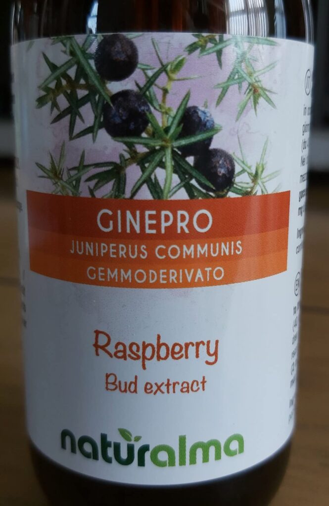 Genévrier commun (Juniperus communis) Gemmo-dérivé… photographié par Heather, acheteur