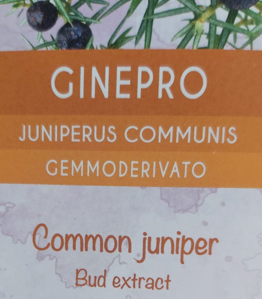 Genévrier commun (Juniperus communis) Gemmo-dérivé… photographié par Heather, acheteur