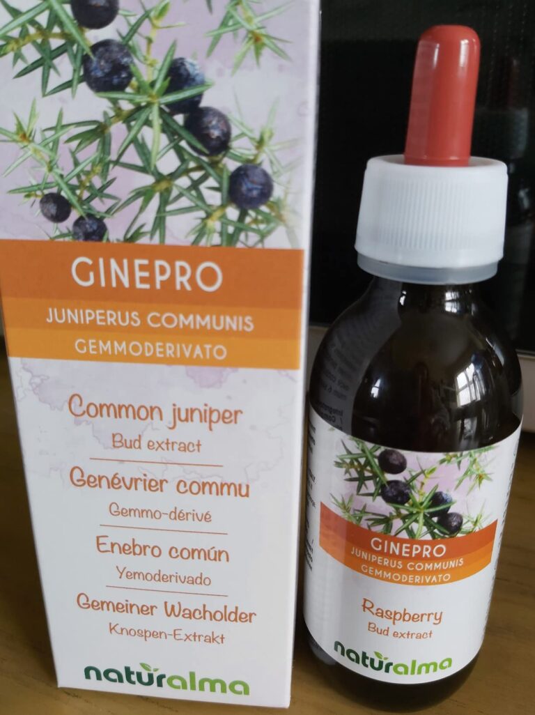 Genévrier commun (Juniperus communis) Gemmo-dérivé… photographié par Heather, acheteur