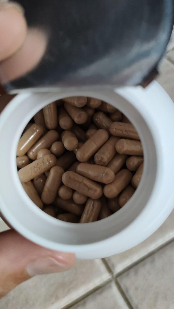 Vue de l'intérieur de la bouteille, montrant les capsules de couleur marron.
