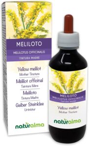 Mélilot officinal ou Mélilot jaune (Melilotus officinalis) herbe avec fleurs Teinture Mère