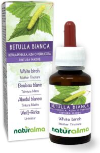 Bouleau blanc ou Bouleau verruqueux (Betula pendula, alba ou verrucosa) feuilles Teinture