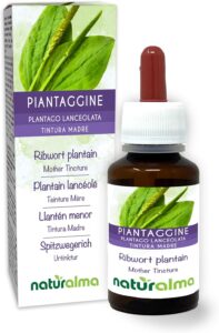 Plantain lancéolé (Plantago lanceolata) feuilles Teinture Mère sans alcool Naturalma - Ext