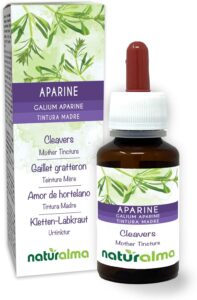 Gaillet gratteron (Galium aparine) herbe avec fleurs Teinture Mère sans alcool Naturalma -