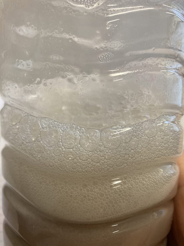 Gros plan sur une bouteille contenant une boisson protéinée végétalienne, montrant la mousse et la consistance.