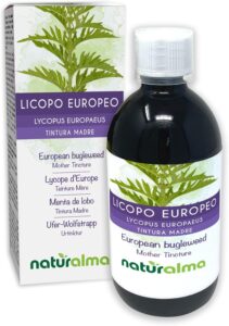 Lycope d'Europe ou Patte de loup (Lycopus europaeus) herbe Teinture Mère sans alcool Natur